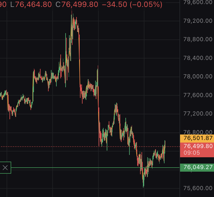 ぽむぽむぷりんてゃん tweet media