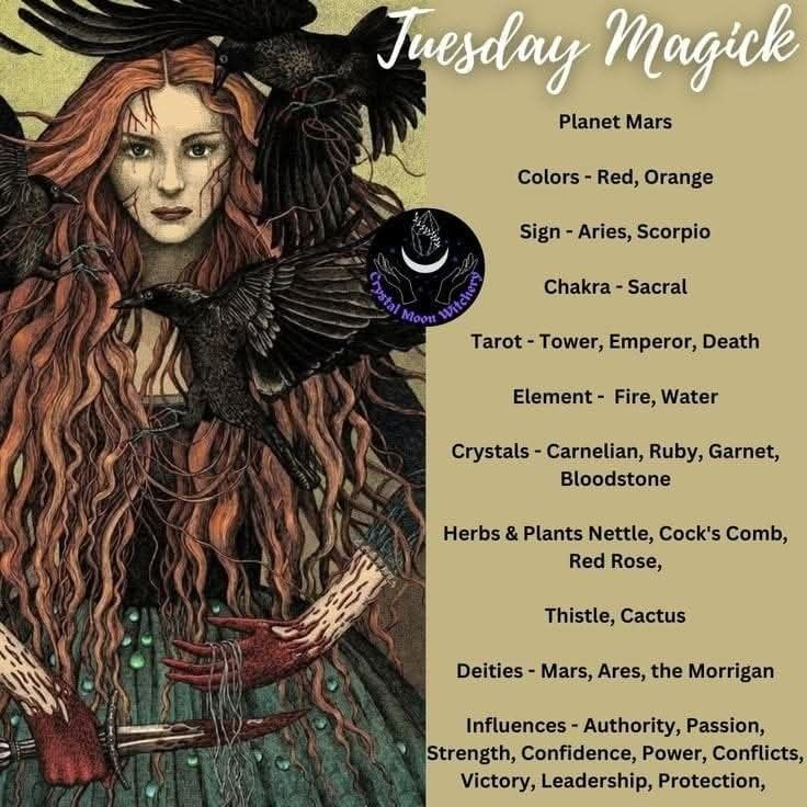 SubRosaMagick's tweet image. Visit my #Etsyshop
Psychic Readings, Books, Vintage &amp;amp; more!
subrosamagick.etsy.com
#wicca #witchcraft #witchtwt #witchtwtpl #witchesoftwitter #magick #Occult #witchlifestyle #witches #seasonofthewitch #witchtwitter #witchythings #Pagan #BlessedBe #Tyrsday