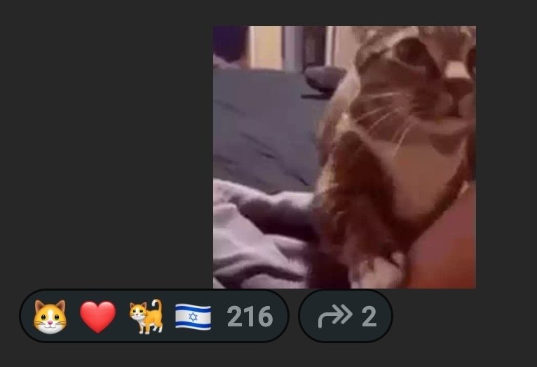pokéra dildoniqué ⚧ tweet media
