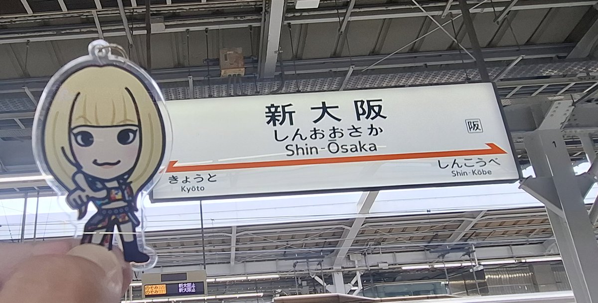 アイちゃんを大阪に連れて来た