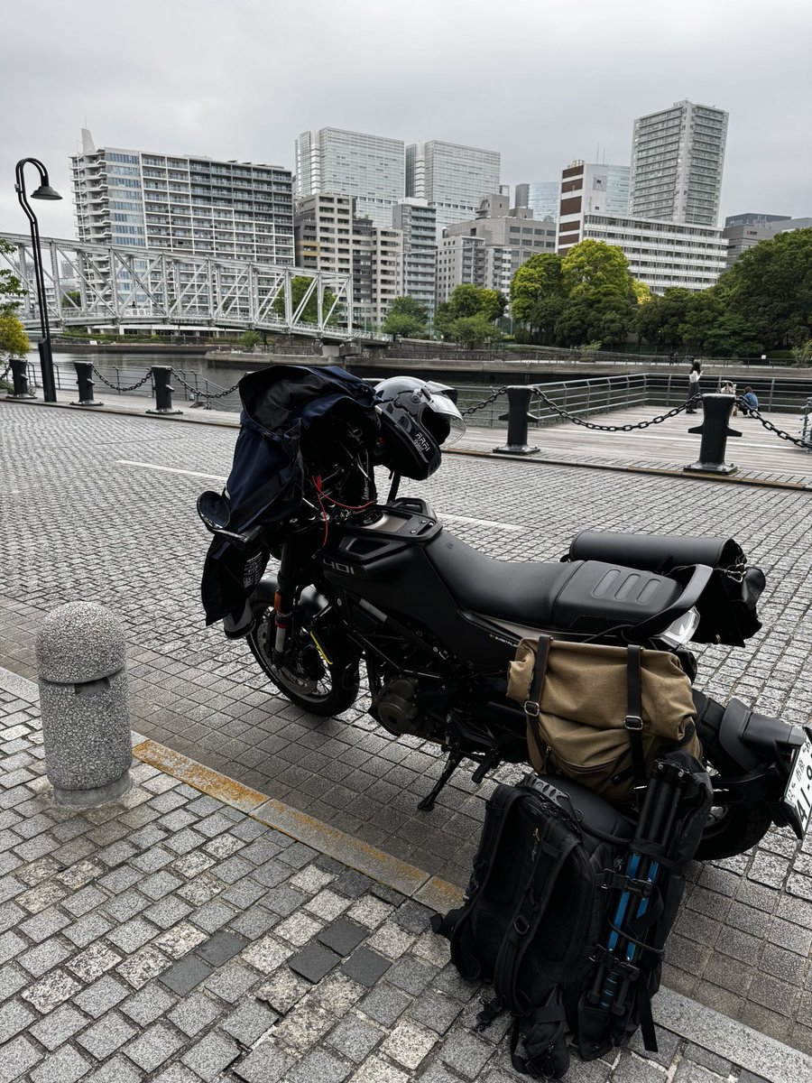 Gaku tweet media