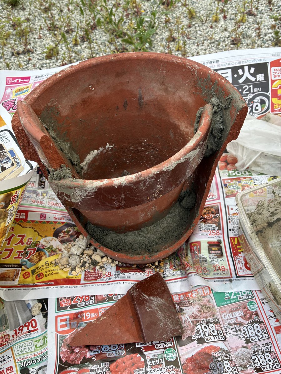 krkrhamu2525's tweet photo. 多肉植物寄せ植え初心者 https://t.co/nPCfNawq71