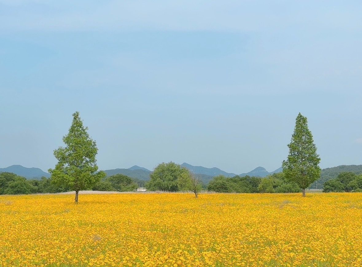 겨울 tweet media