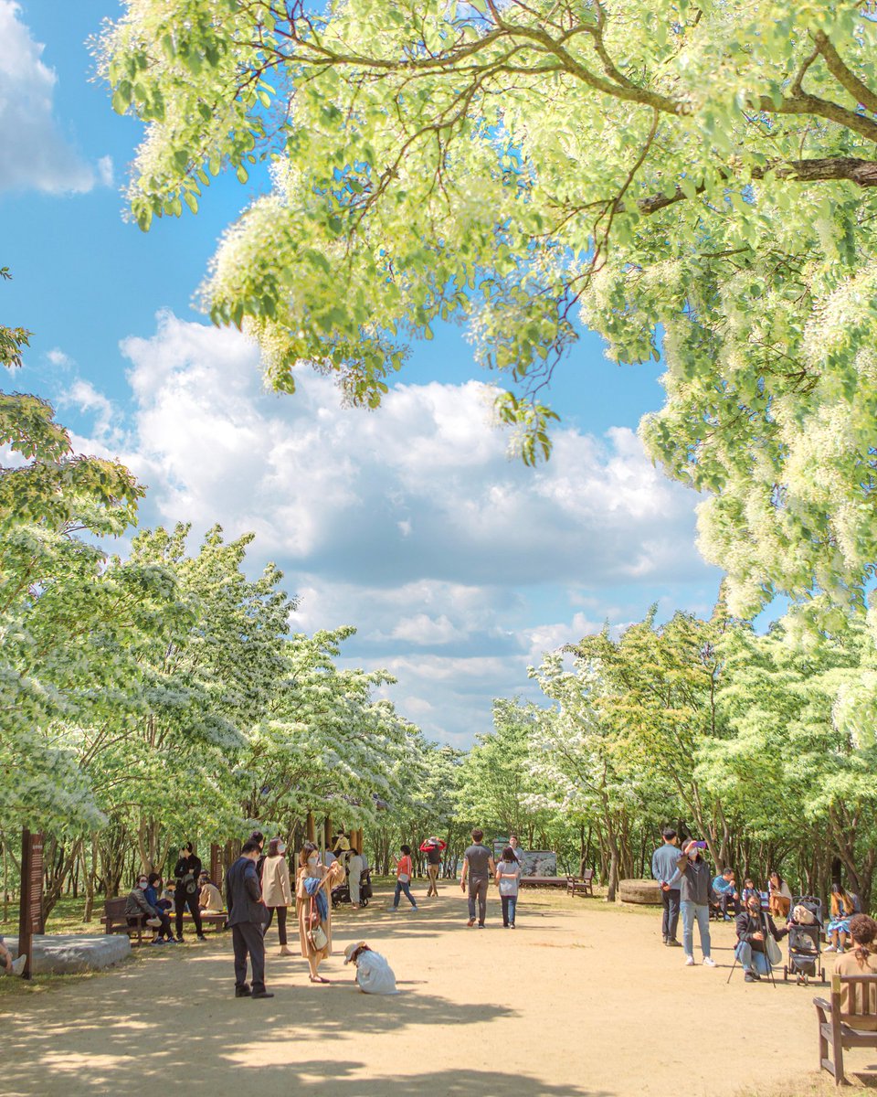 Visita Corea tweet media