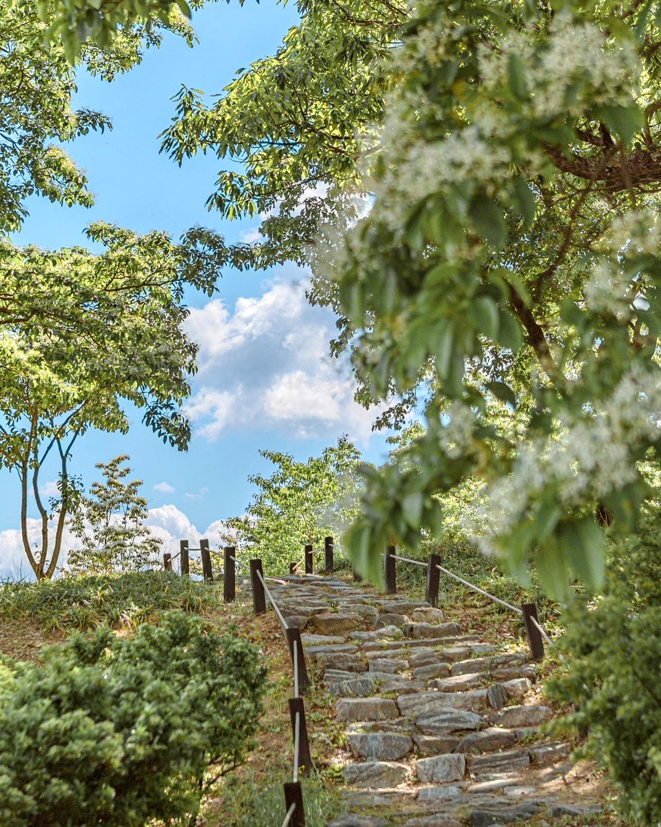 Visita Corea tweet media