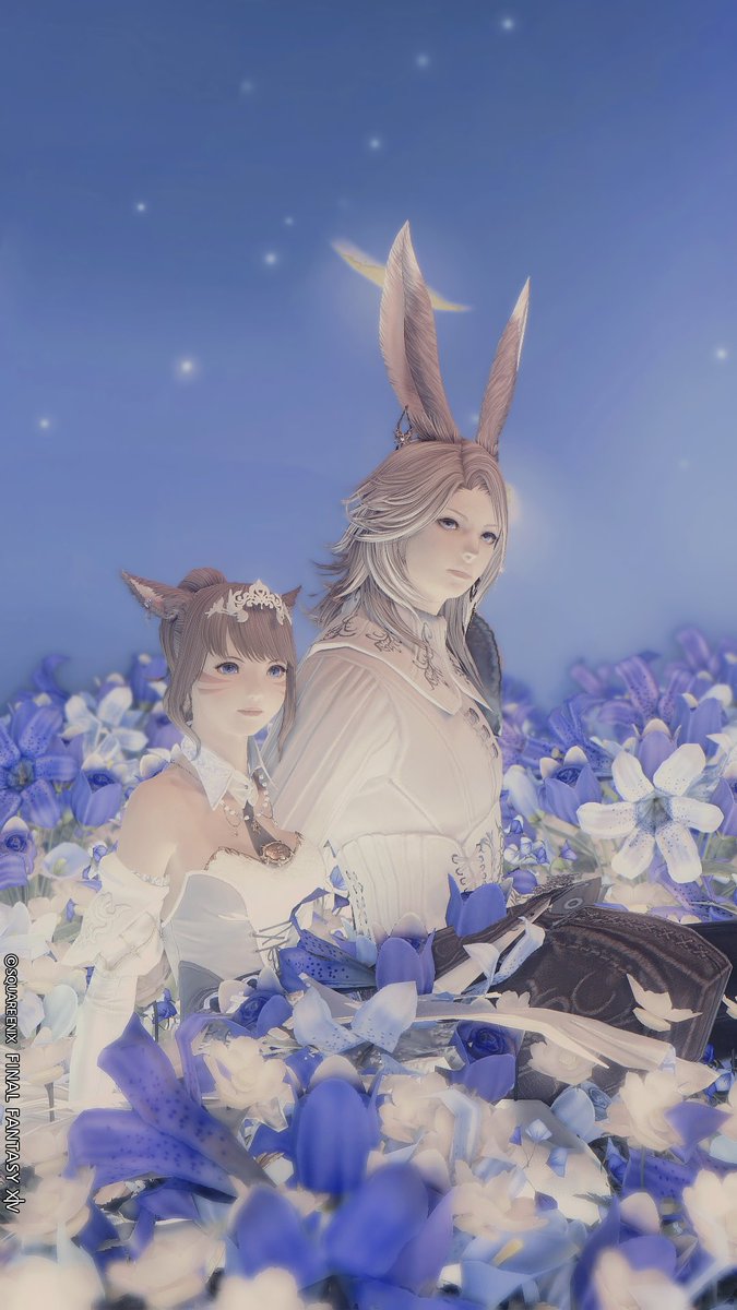 Choco@Bahamut tweet media