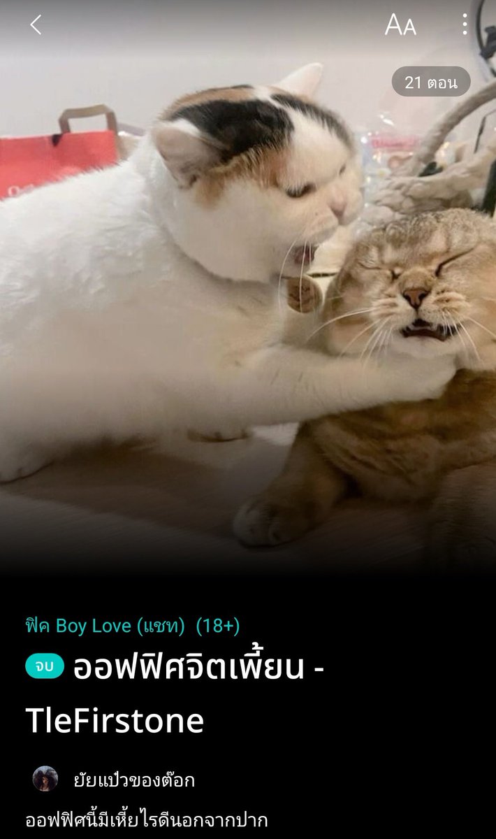 ปุ๊กปิ๊ก มัมหมาเลือดบริสุทธิ์🏳️‍🌈 tweet media