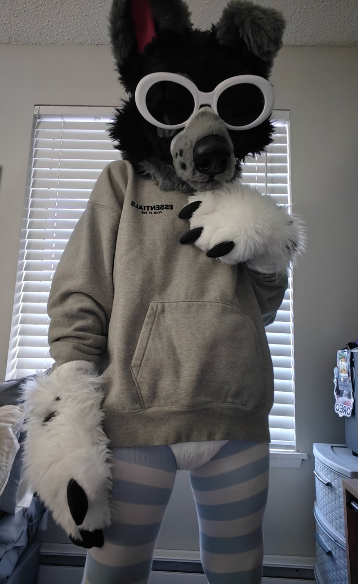 Oreo Collie tweet media