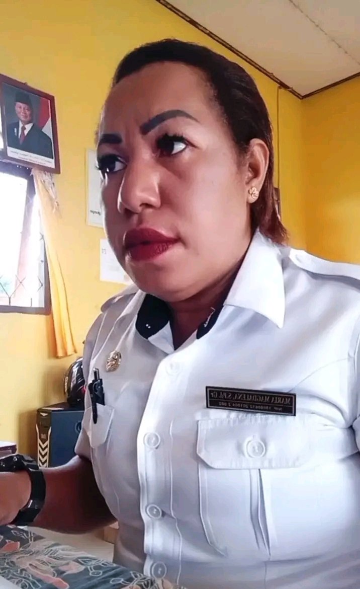 pemburu pepe tweet media