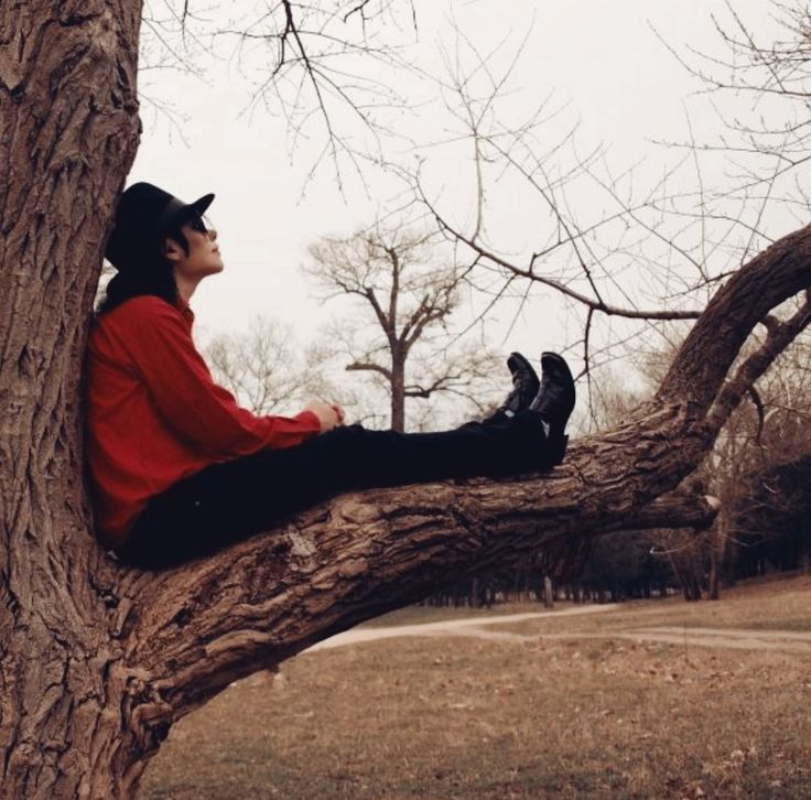 Dae's『卍解』 tweet media