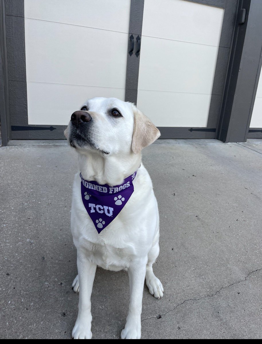 leahd57's tweet photo. @TCU_Baseball Millie! https://t.co/R4Ic1QLBu8