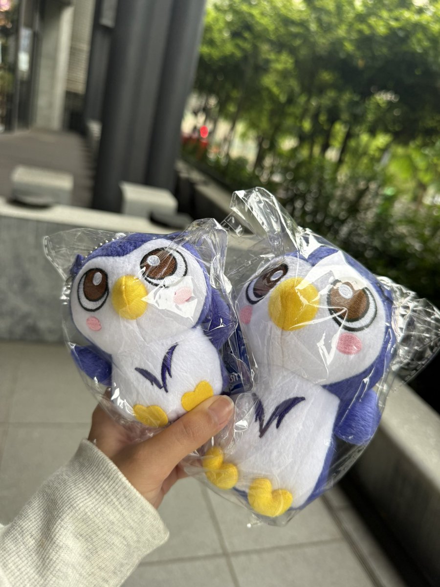 おぱ 🐇 tweet media