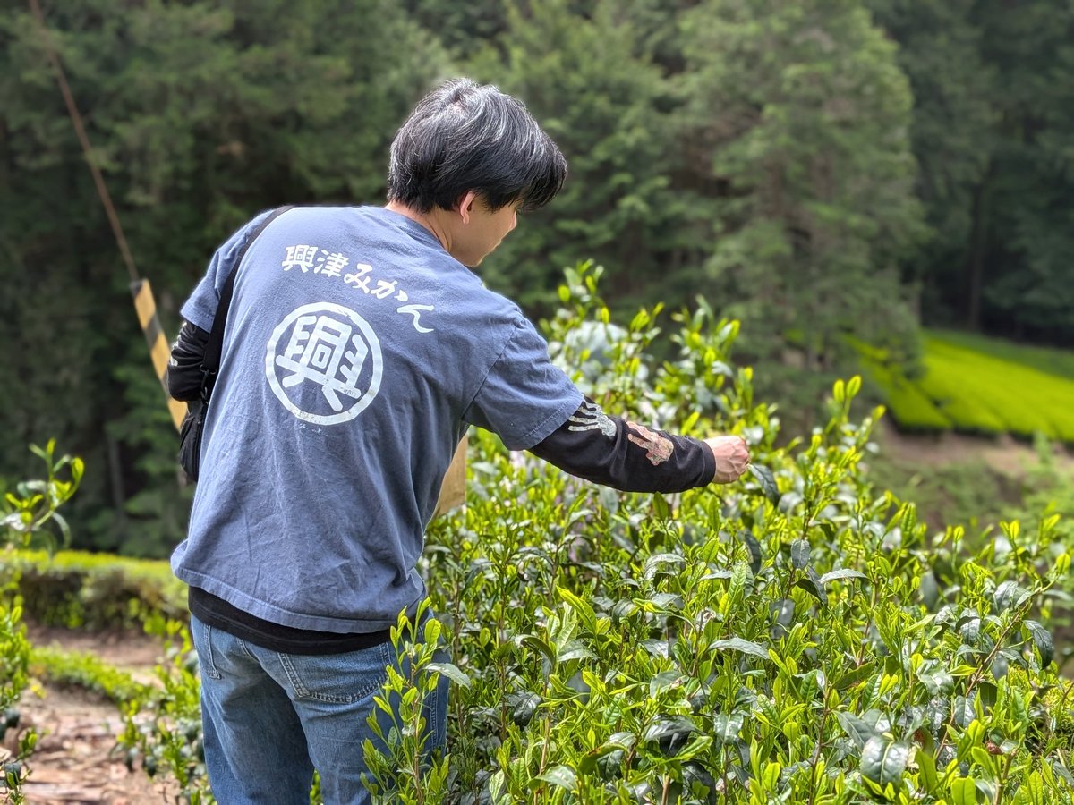 阪口せりな | 静岡暮らし🍊 tweet media