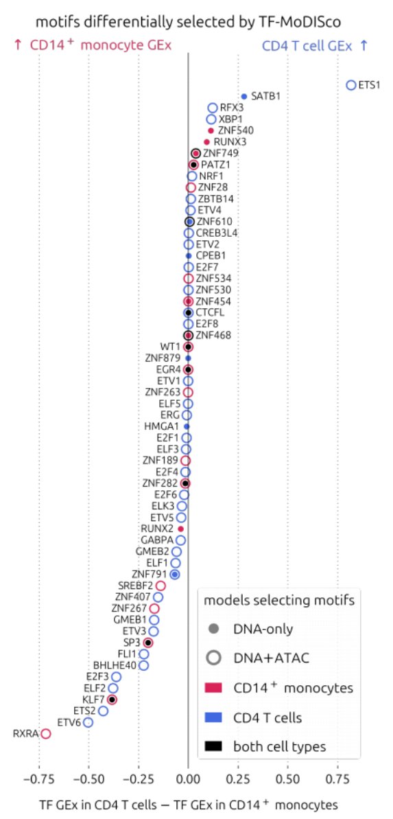 Tech_Bioinfo's tweet photo. **New paper drops: feeding AI the "open" parts of the genome just made gene expression prediction a lot smarter.** 🧬🔬

**The problem:** Most sequence-to-expression models only read DNA letters, ignoring a crucial filter—chromatin accessibility (which parts of the genome are actually *open* for business).

**The fix:** Lapohos et al. simply added ATAC-seq data as an extra input channel to a CNN. That’s it. A 5th track alongside the 4 DNA bases.

**The result:** The augmented model significantly outperformed sequence-only or accessibility-only baselines across 12 cell types. It was especially better at predicting expression of *highly variable* genes (the ones that actually define cell identity) and generalized across cell types. Attribution scores in the DNA channels also aligned with accessibility, letting the model learn cell type-specific regulatory motifs like ETS1 and RXRA.

**The kicker?** Fine-tuning a pre-trained sequence-only model with accessibility boosted performance even further. This strategy is portable—any sequence-to-expression architecture can adopt it.

🧠 Is adding a single "context" track the missing piece for decoding cis-regulatory grammar at scale?

#AI #MachineLearning #Genomics #SingleCell #ATACseq #GeneRegulation #Bioinformatics
📄 Paper: [TODO: paste link here]