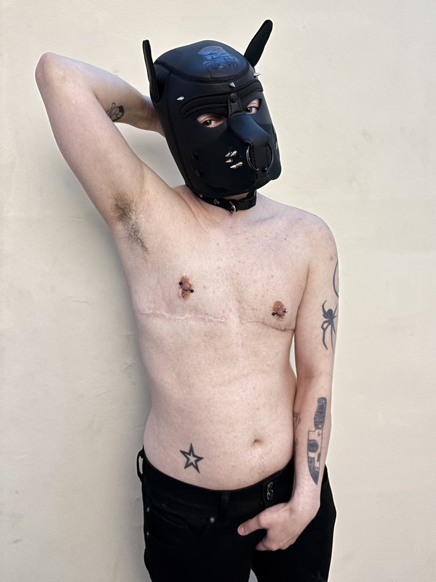 Pup Phantom 🖤 tweet media