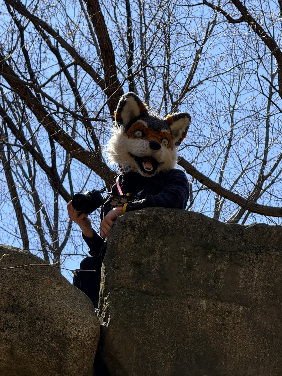 Fad Ellison tweet media