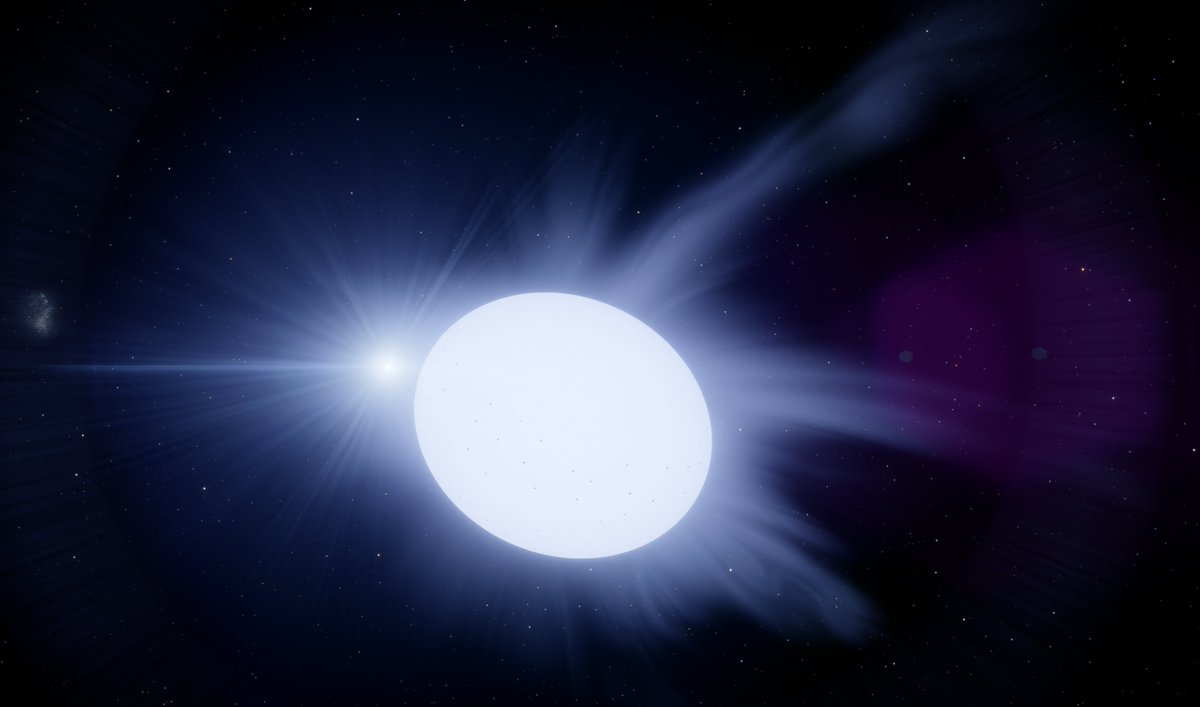 seld_on's tweet photo. Looking for unusual stellar objects in SpaceEngine is my new personal form of stimming.

This is XTE J1650-500, a binary consisting of a main-sequence star and a black hole of 5-10 solar masses. The two orbit close enough to each other (T = 7h40m) that the star's surface is bent into a distinctly ovoid shape by the presence of the black hole, which is siphoning mass from its companion's corona.

As expected, light (and spacetime) is heavily curved in the immediate vicinity of the black hole. 

Also, in addition to the event horizon there is also a "photon sphere" where light can get trapped in orbit instead of passing through. There are no stable orbits in that region, either an object has to fly past at some significant fraction of c or be trapped in a decaying orbit until it is eventually swallowed by the BH.