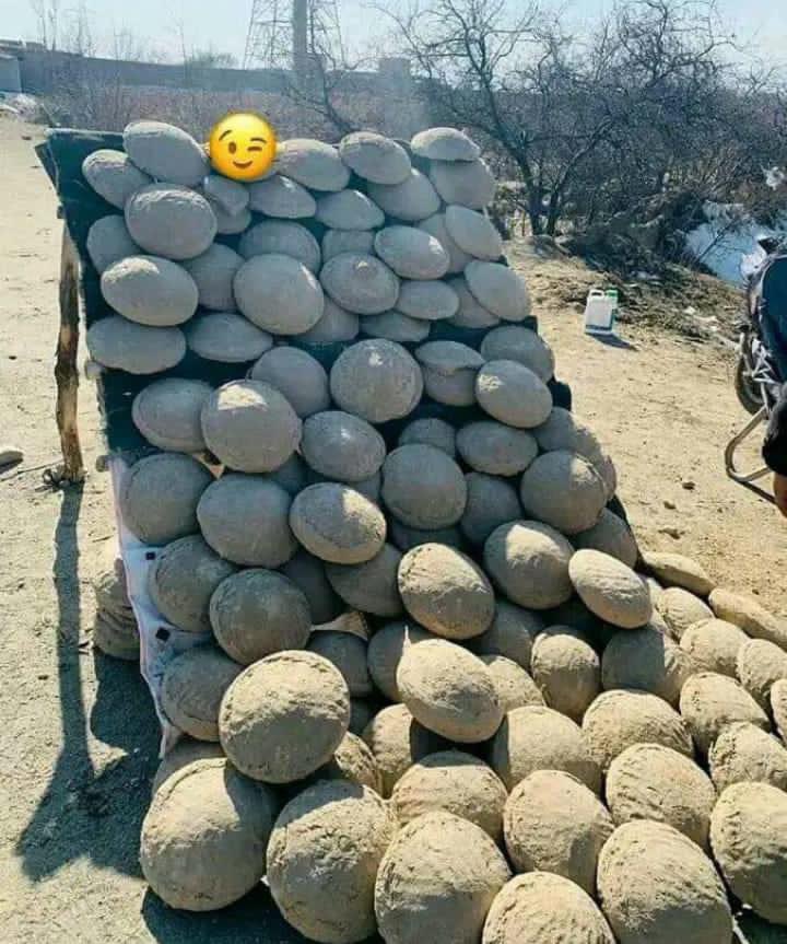 اَلسَلامُ عَلَيْكُم وَرَحْمَةُ اَللهِ وَبَرَكاتُهُ
ملګرو!
نن درنه یوه پوښتنه کوم دا څه دي په کوم ولایت کې وجود لري؟