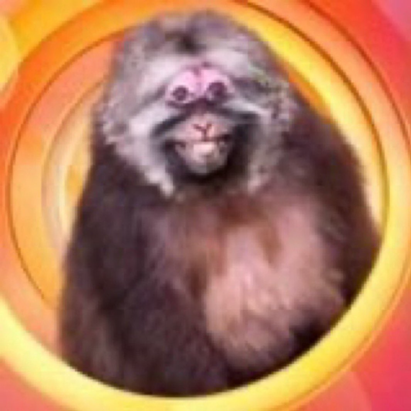 • τὸ μέγα θηρίον • tweet media