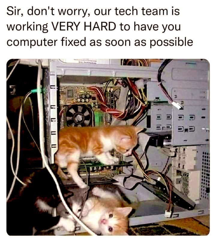 GeneralCattis's tweet photo. #WhenMyDevicesArentWorking I call in the best tech team available https://t.co/eVy7jz1rO8