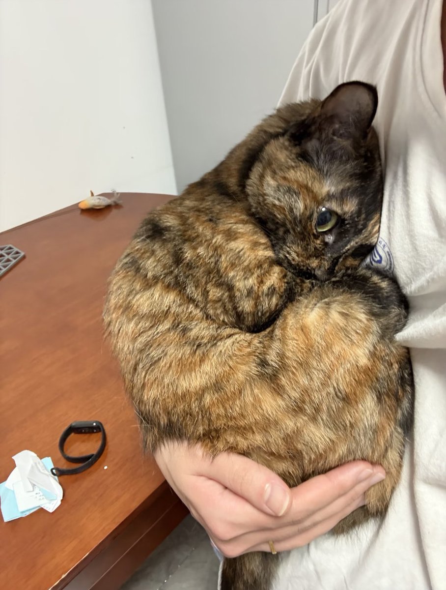 Kathleen tweet media