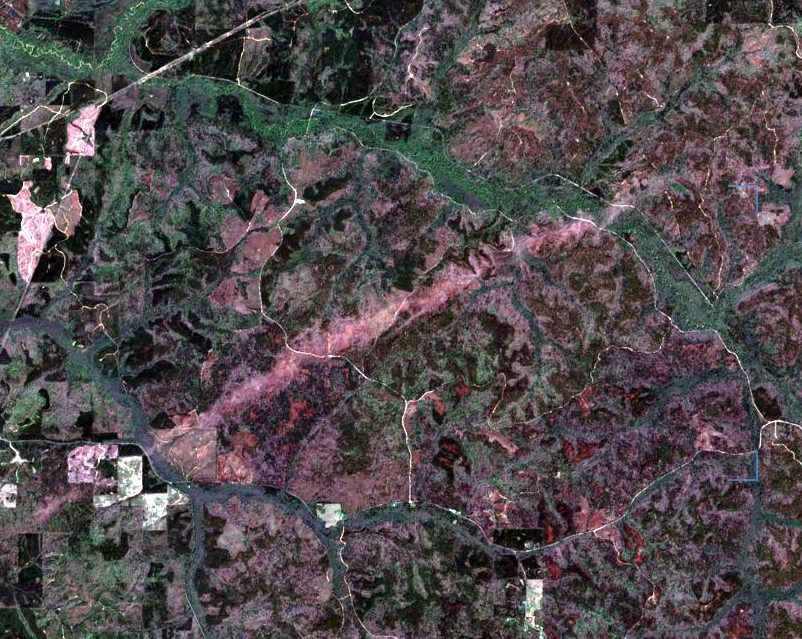 Project Vortex Breakdown tweet media