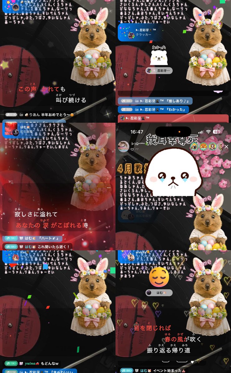 ᐕ)Quokka🌿⋆｡ tweet media