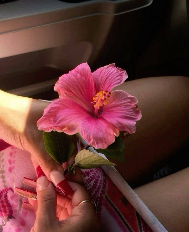 Bloomify tweet media