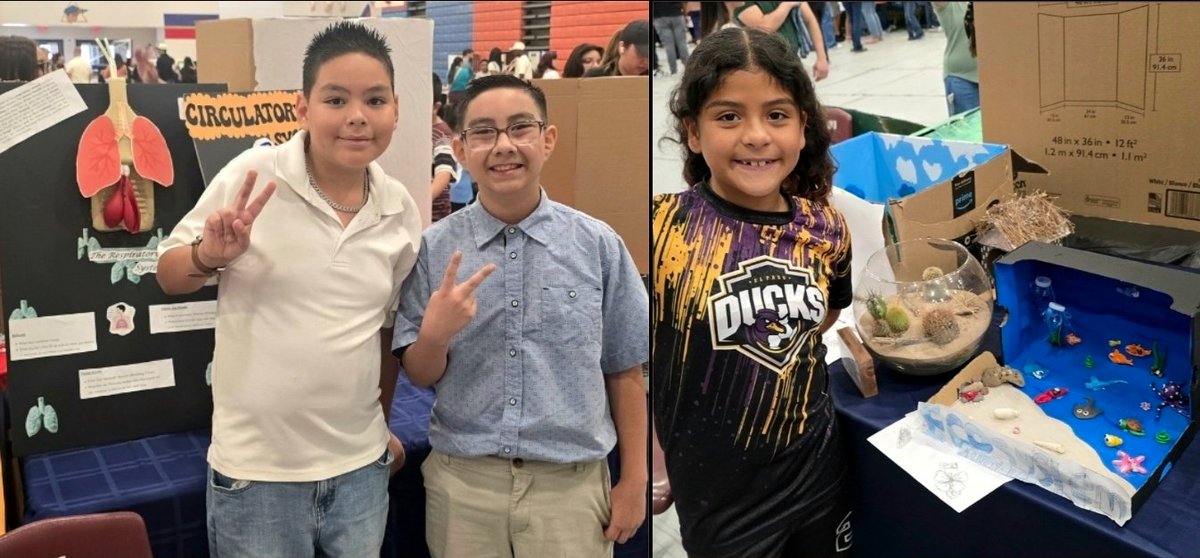 HValverde_DWS's tweet photo. Our Desert Wind Colts showed up and showed off their phenomenal projects at the 2026 SISD GT Showcase. The audience's interaction and interest in their presentations was captivating! #LoveDesertWind #TeamSISD @DWS_PK8 💙🐴💛 https://t.co/yoID4BmMl5
