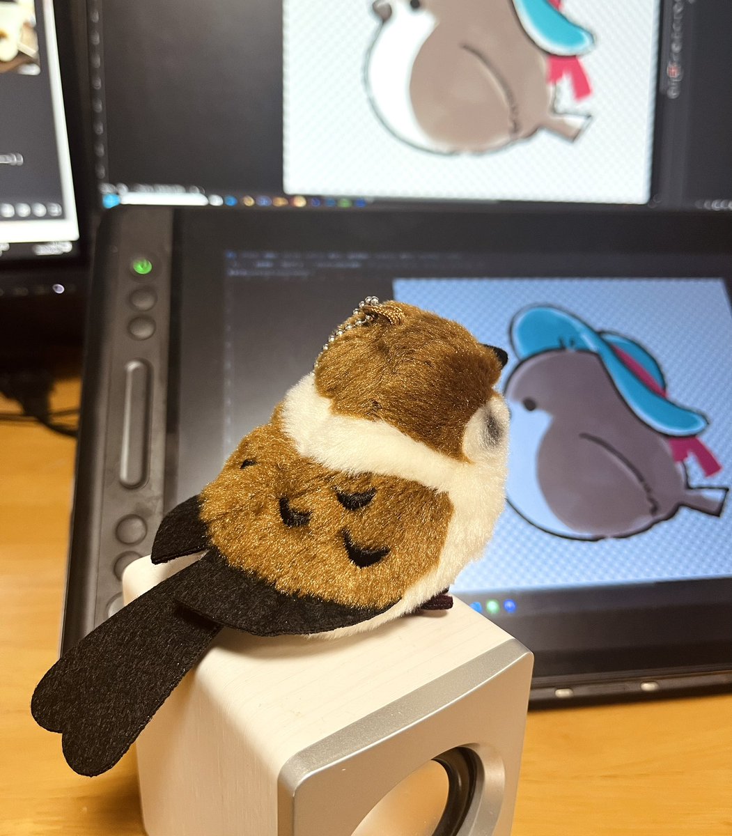 10awako's tweet photo. 自画像すずめだからすずめのぬいがほしいけどいまいち出会えなくて…って話してたらニッケ先生がかわいいのみつけてきてくれた🥳めっちゃかわいい❣️ https://t.co/o66U3l9tl3
