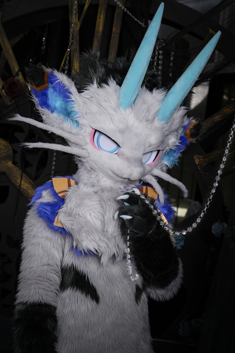 ALKAID_FUR's tweet photo. 【✨ALKAID·全装展示·专】pat.2
弥亚本猫，Milby。
独一无二绝世坏猫。
没兴趣废话。

委托：@milbycat
📷：@朔光 https://t.co/yXyVFTB0RV