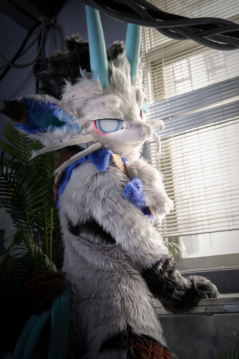 ALKAID_FUR's tweet photo. 【✨ALKAID·全装展示·专】pat.2
弥亚本猫，Milby。
独一无二绝世坏猫。
没兴趣废话。

委托：@milbycat
📷：@朔光 https://t.co/yXyVFTB0RV