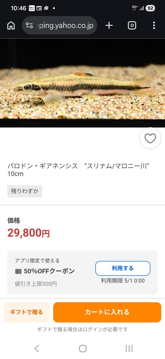倉田のらざき tweet media