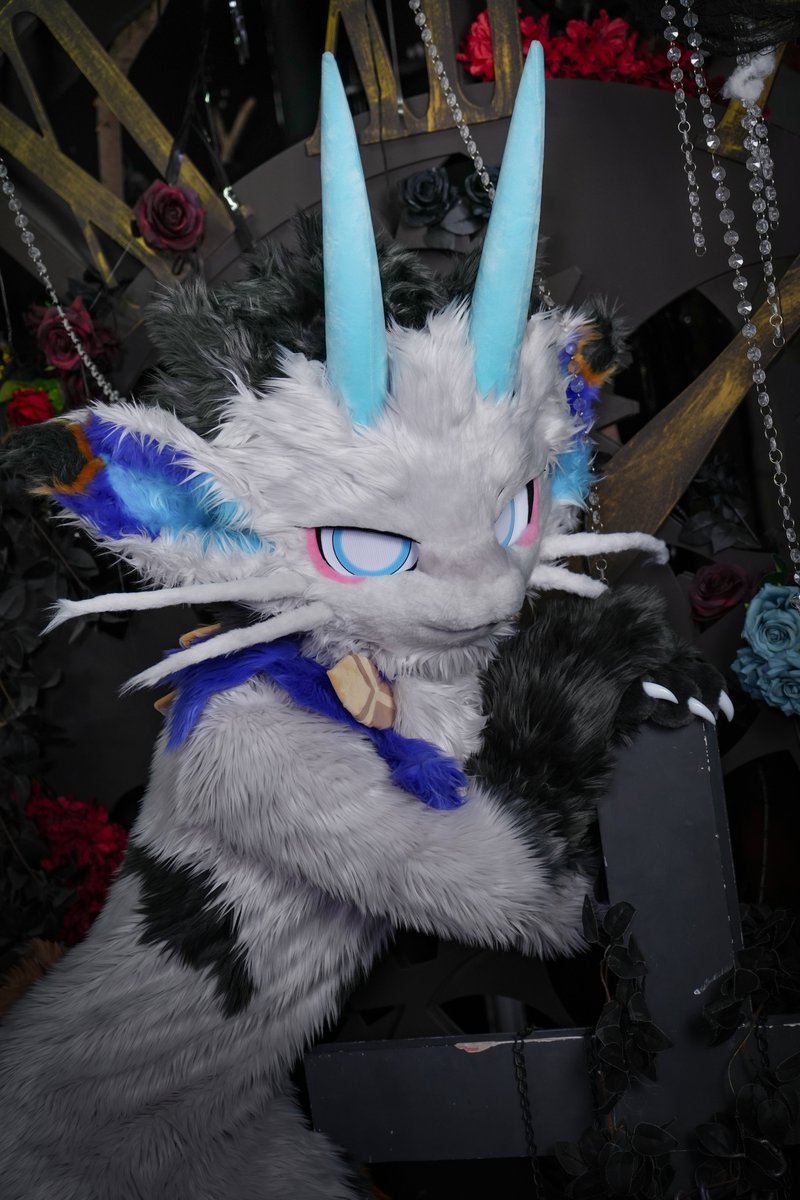 ALKAID_FUR's tweet photo. 【✨ALKAID·全装展示·专】pat.2
弥亚本猫，Milby。
独一无二绝世坏猫。
没兴趣废话。

委托：@milbycat
📷：@朔光 https://t.co/yXyVFTB0RV