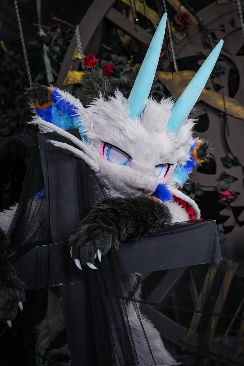 ALKAID_FUR's tweet photo. 【✨ALKAID·全装展示·专】pat.2
弥亚本猫，Milby。
独一无二绝世坏猫。
没兴趣废话。

委托：@milbycat
📷：@朔光 https://t.co/yXyVFTB0RV