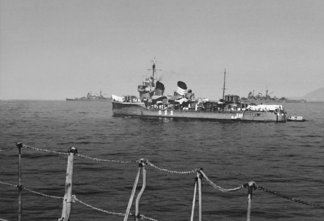 ふさう提督兼マスター tweet media