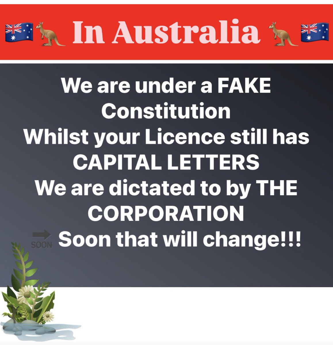 💙 XRP 🦋 DigiGold 💙 tweet media