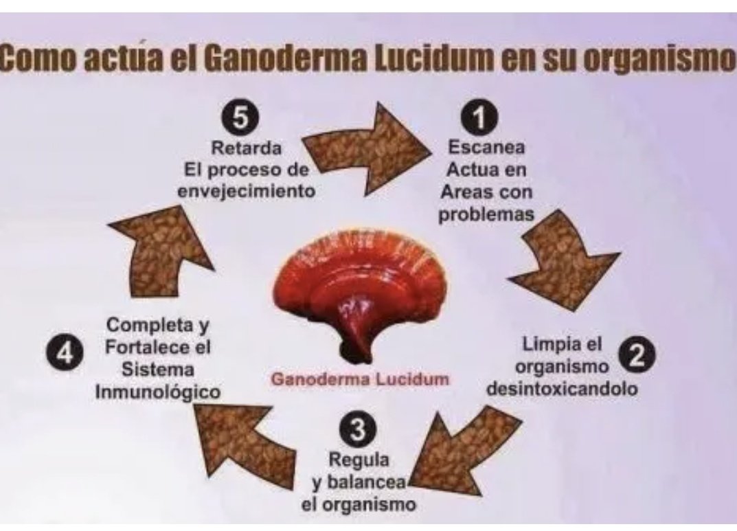 Ricardo De Spirito Balbuena. tweet media