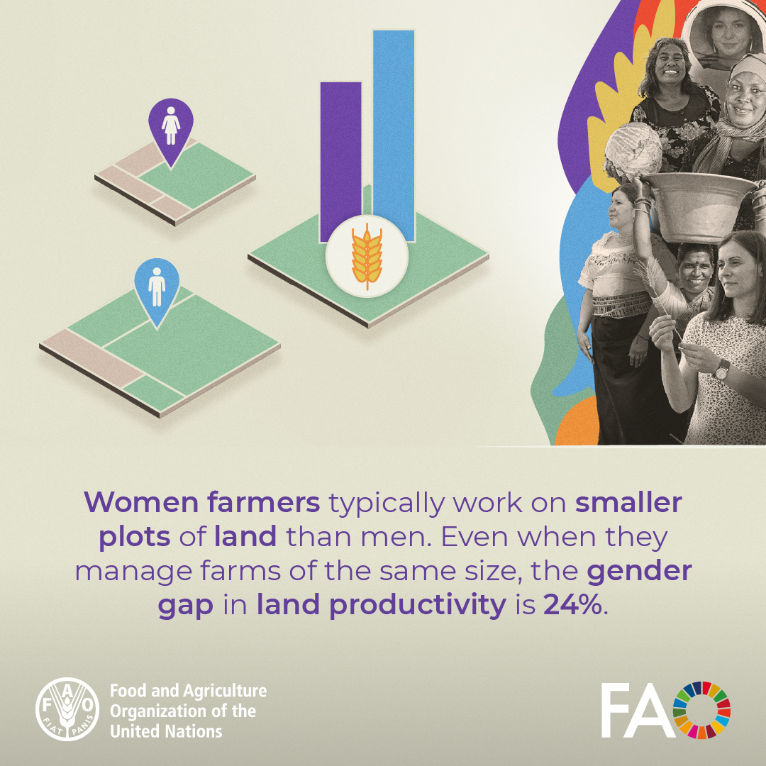 FAOAsiaPacific's tweet image. Despite their essential role in #agrifood systems, women farmers face unequal access to resources.

Securing women’s land rights strengthens agrifood systems and rural development, and helps communities to thrive.

🔗 fao.org/woman-farmer-2…

#YearOfTheWomanFarmer #IYWF2026