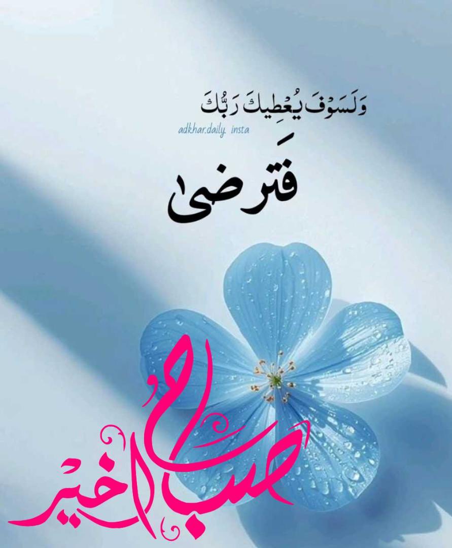 ﮼نجمه،السلطنه🇴🇲 tweet media