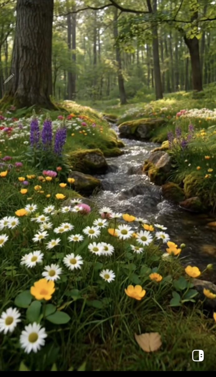 Raşit Yavuz tweet media