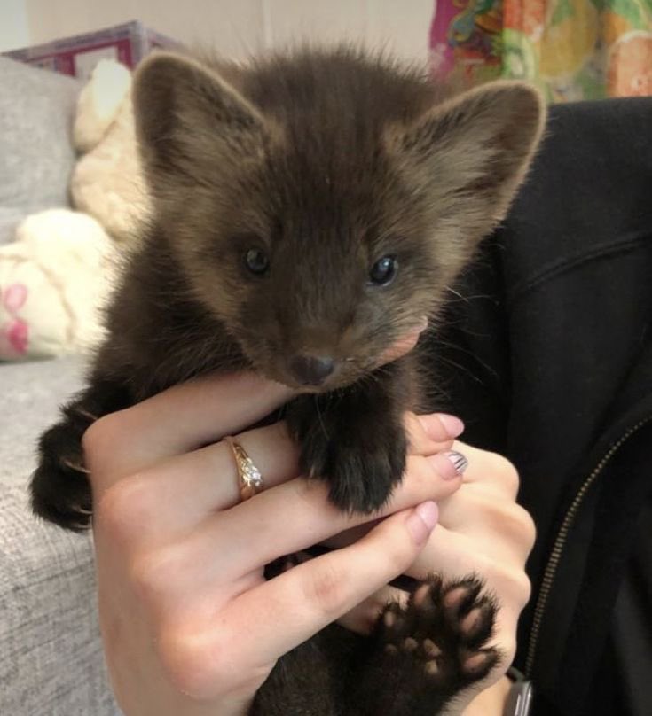 ♱ Valik tweet media