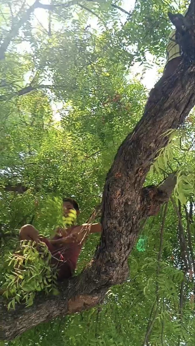 readingkafka's tweet image. Learning to care about birds and nature. 

A partnership with Nature Conservation Foundation @ncfindia for nature education in Karnataka’s rural public libraries. 

#summerinlibraries 🌷🌿📚🕊️