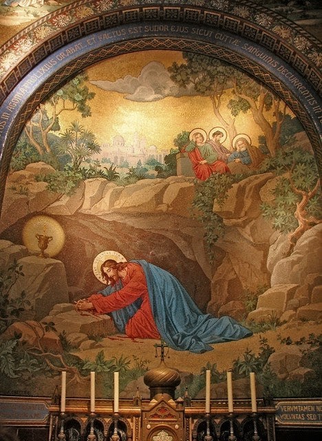 sistervpaul_'s tweet photo. #Compline "Protect us, Lord, as we stay awake; watch over us as we sleep, that awake, we may keep watch with Christ, and asleep, rest in His peace. Amen." 🙏🛐 https://t.co/NHycEmXkWr