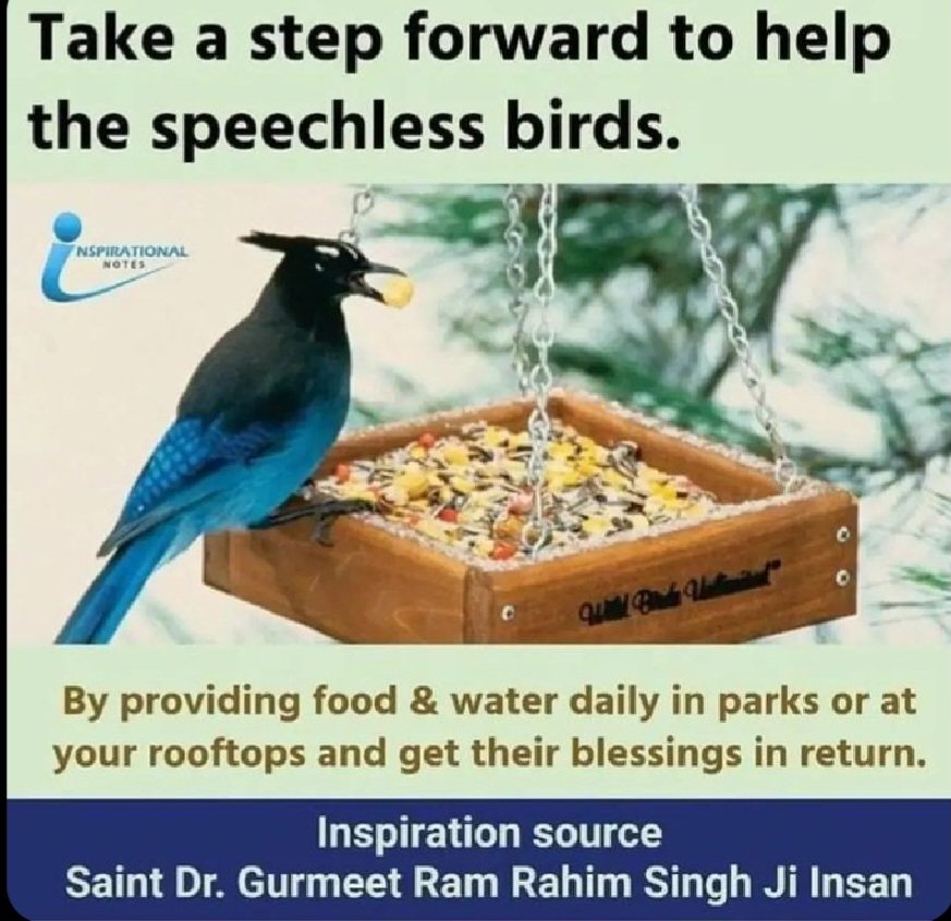 In this hot weather it is hard to survive without water for any creature and with concept of #FeedEveryCreature by guidance of Saint Gurmeet Ram Rahim Ji, Dera Sacha Sauda devotees place water pots , food on their rooftops, public areas, gardens. Its a gesture of kindness.