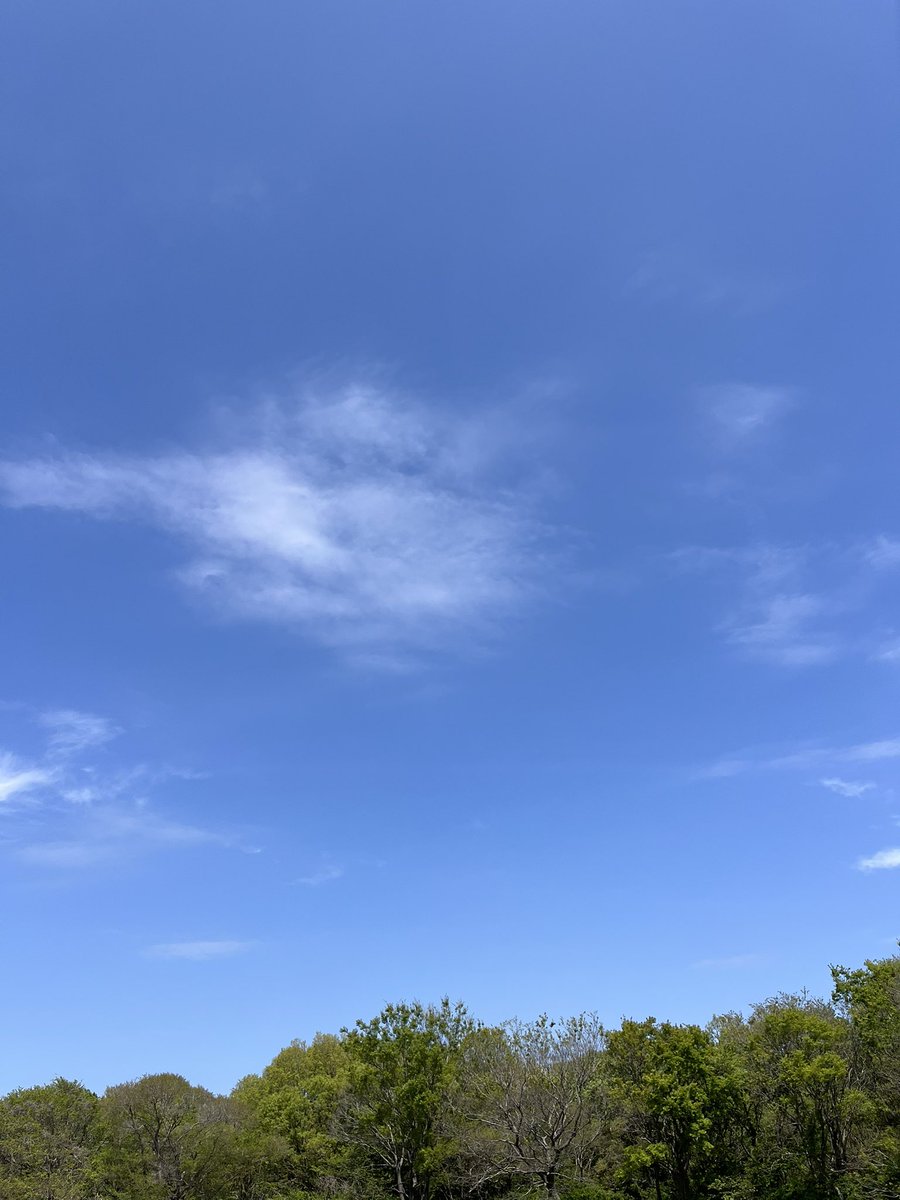 しづおかちゃ🪽 tweet media