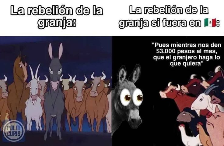 𝘒𝘢𝘨𝘶𝘺𝘢 𝘚𝘢𝘮𝘢 𝘍𝘢𝘯 ~愛~ tweet media