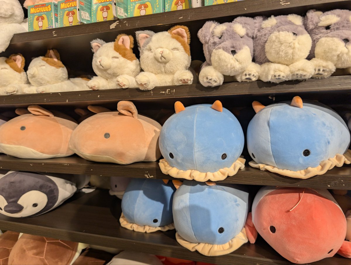 菅原瑛太@社畜戦士@第3期繁忙期 tweet media