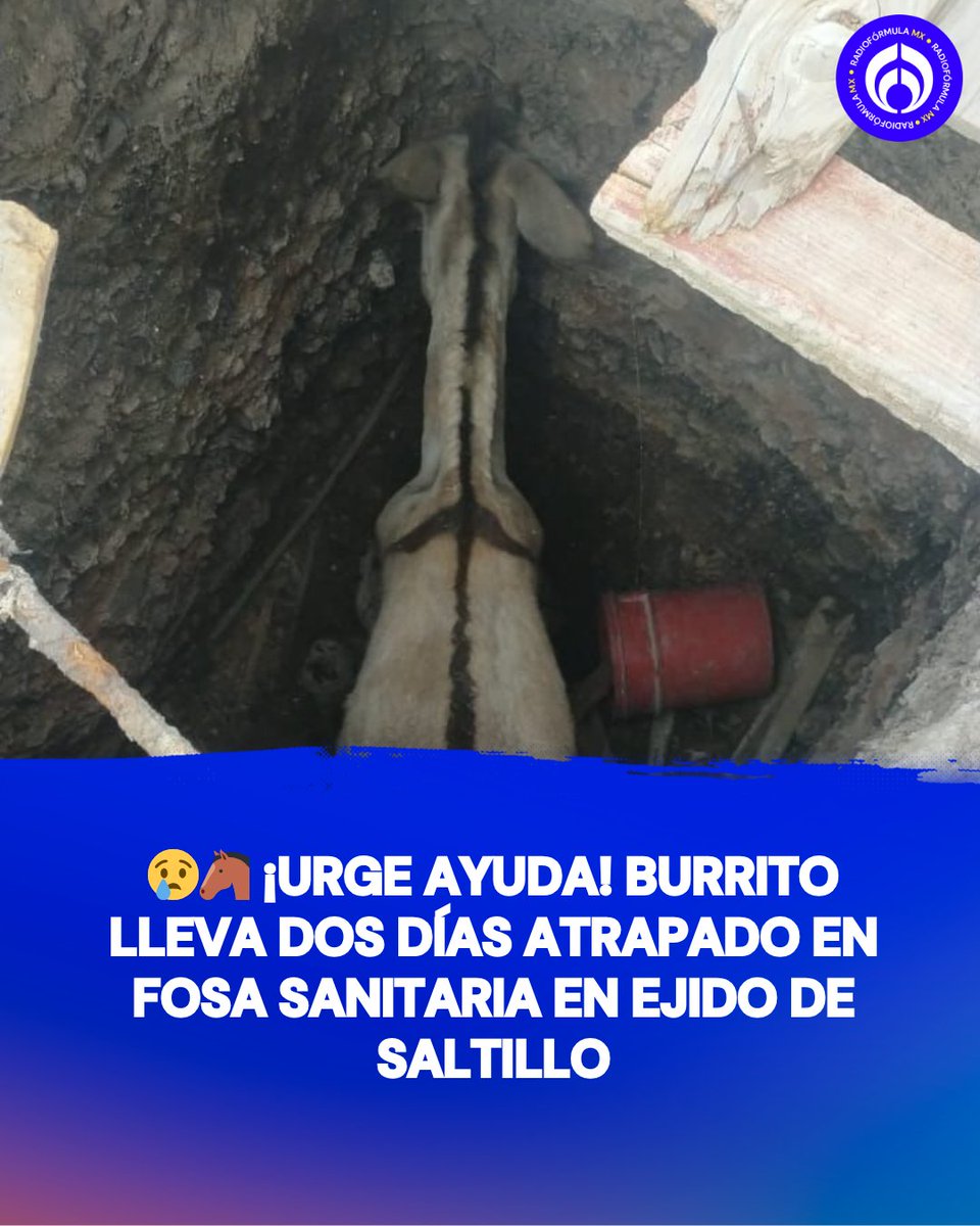 Grupo Fórmula tweet media