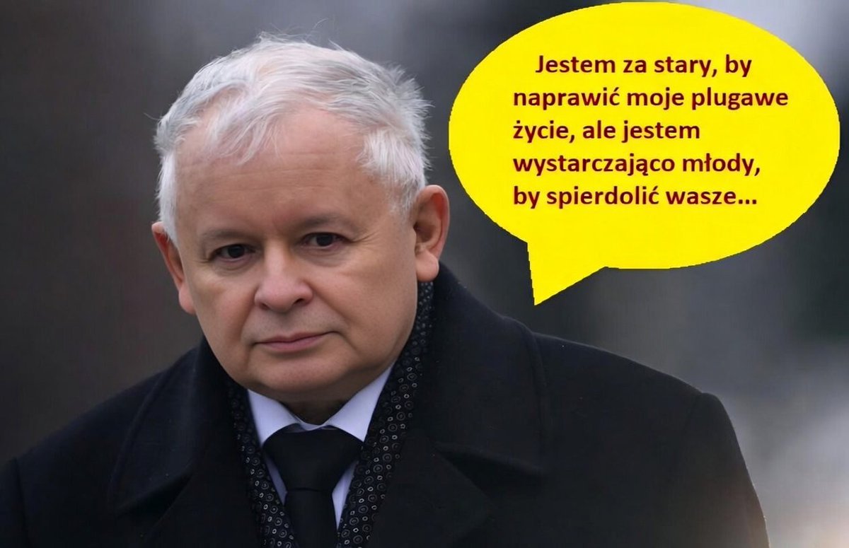 Xgrosz tweet media